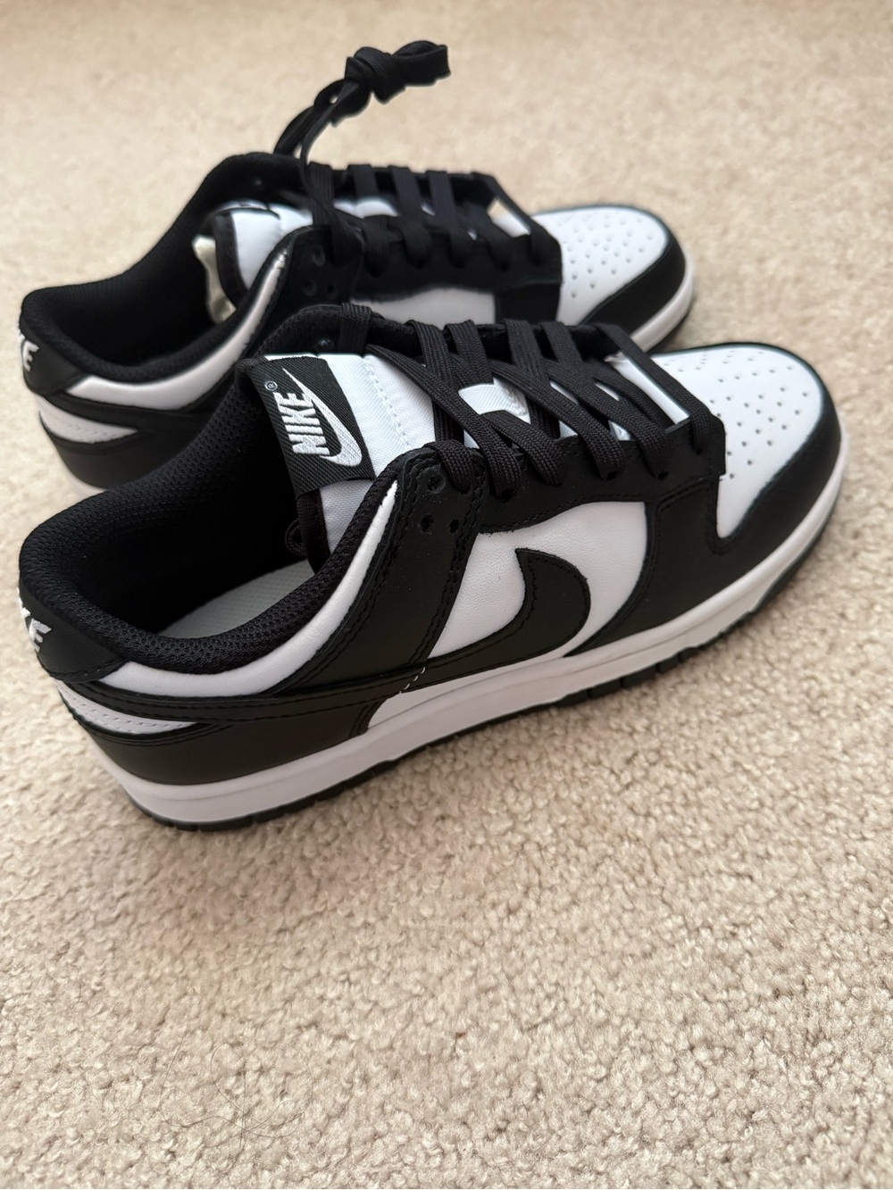 Nike Dunk Low Sneakers